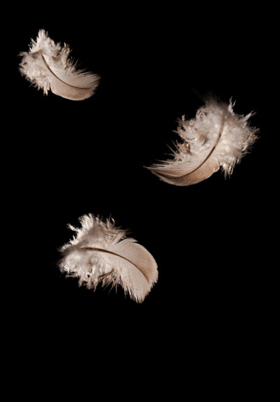weightless2