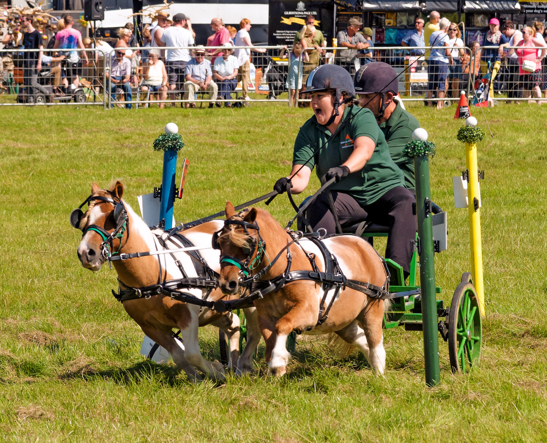 wingww-cheshire-8122