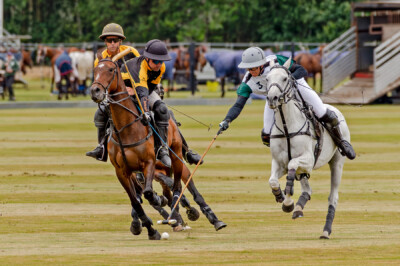 wingww-cpc-6july25-2442