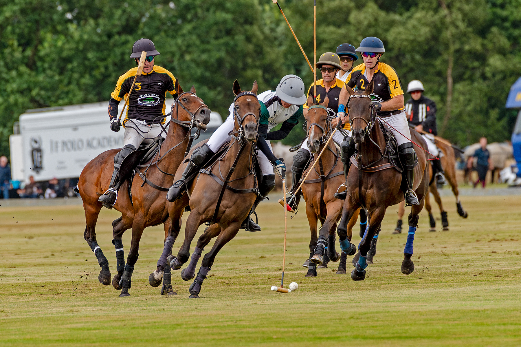 wingww-cpc-6july25-2638