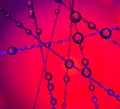 wingww-waterdroplet-16sept25-4222