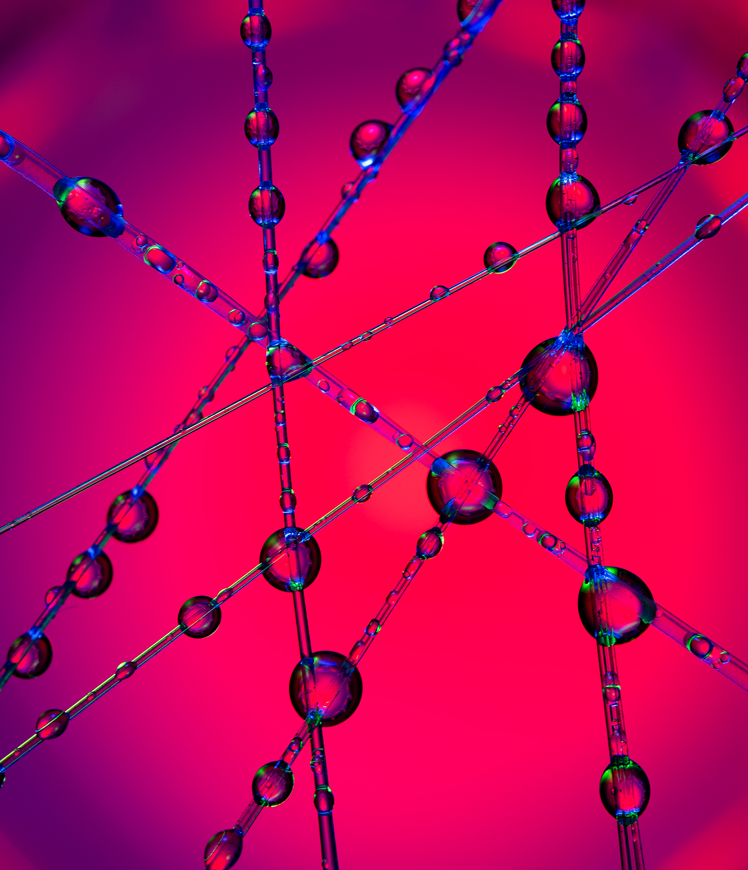 wingww-waterdroplet-16sept25-4229