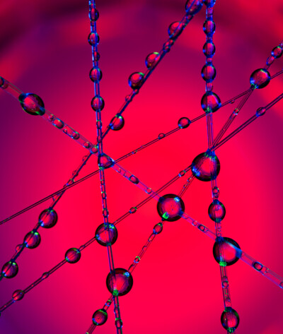 Water Droplet Photography 16/09/2025