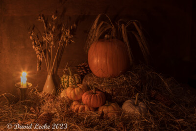 pumpkins