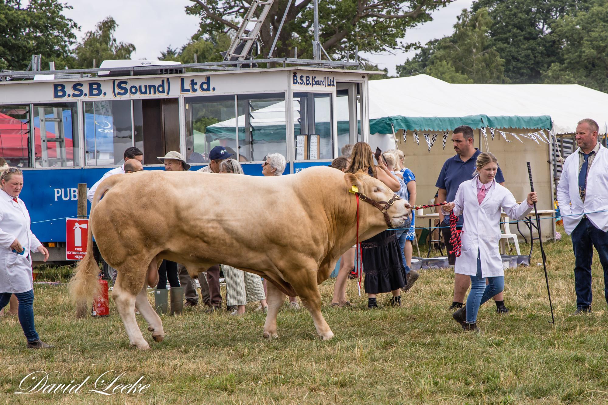 lcps-david-leeke-0035