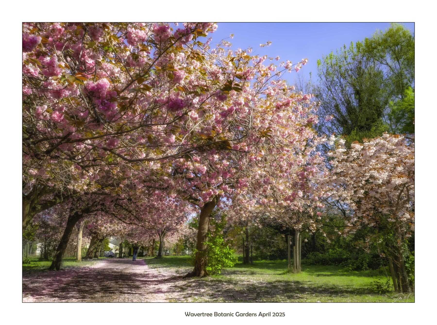 lcps-sue-m-wavertree-botanic-gardens