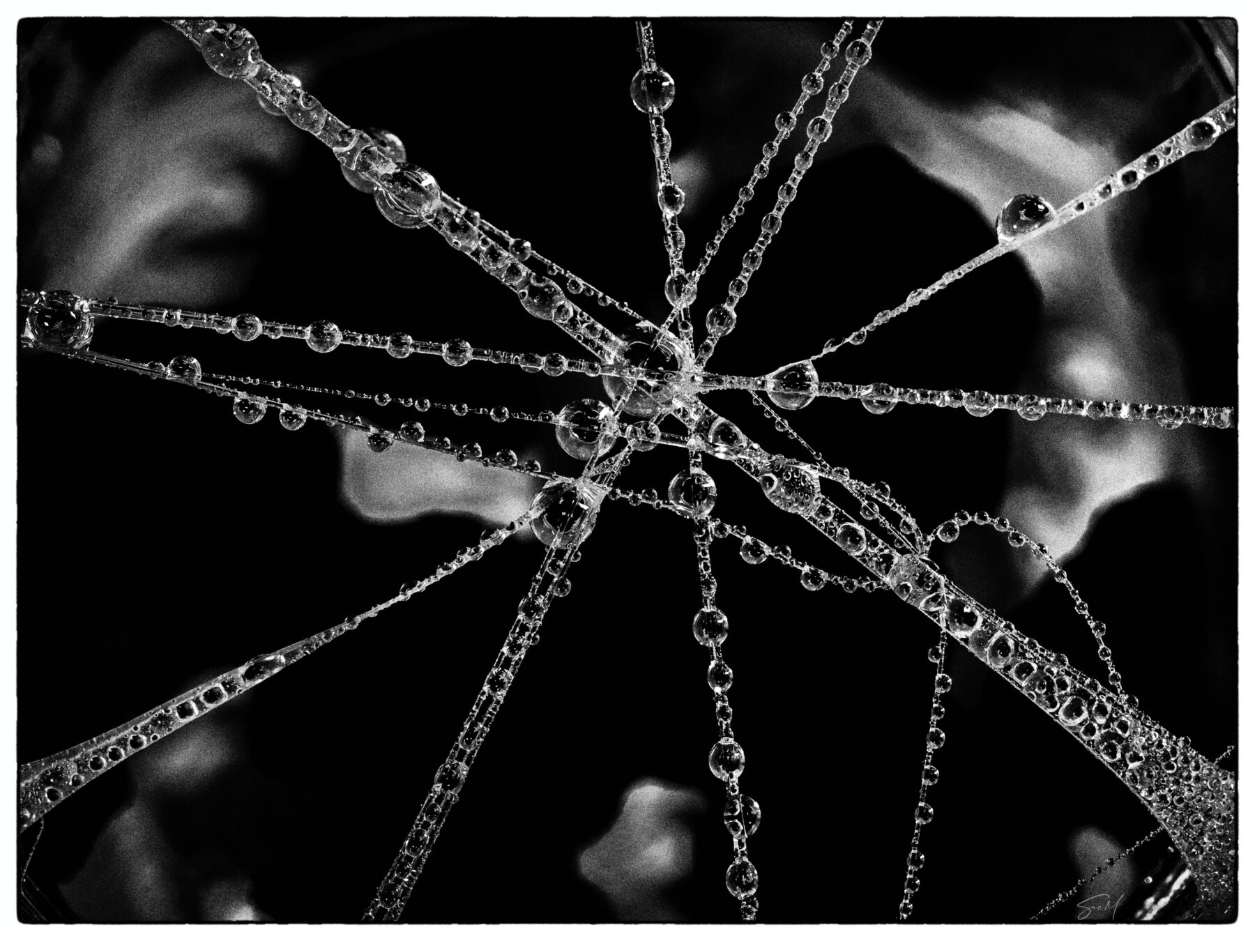 suem-circling-in-the-deep