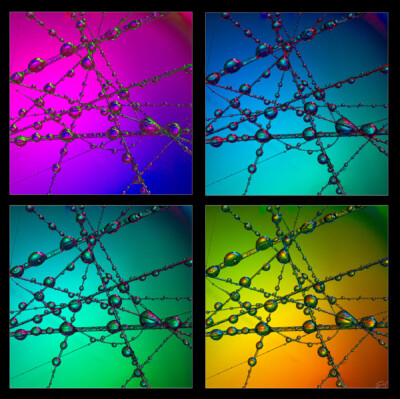 sue-m-stuck-like-glue