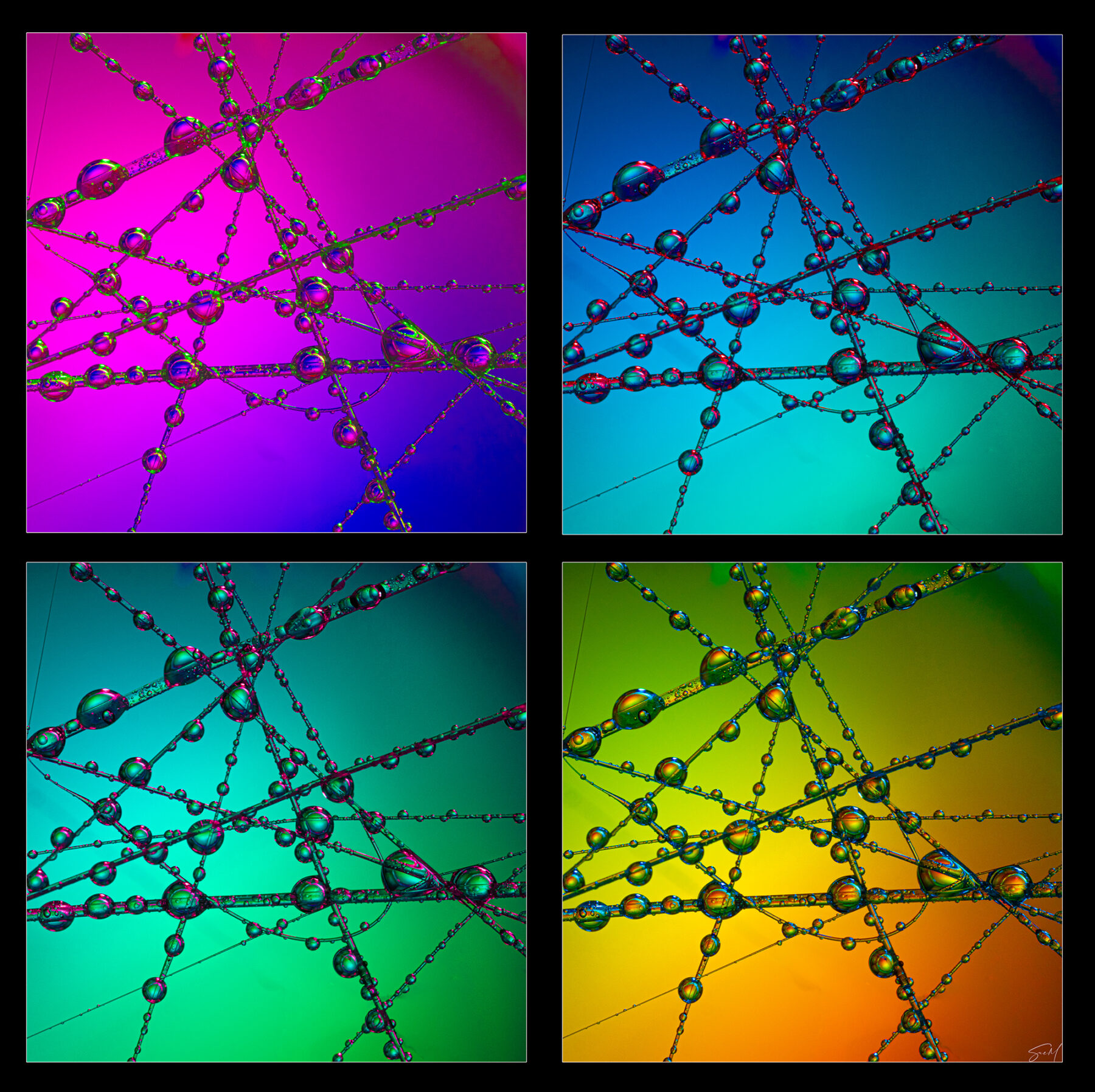 sue-m-stuck-like-glue