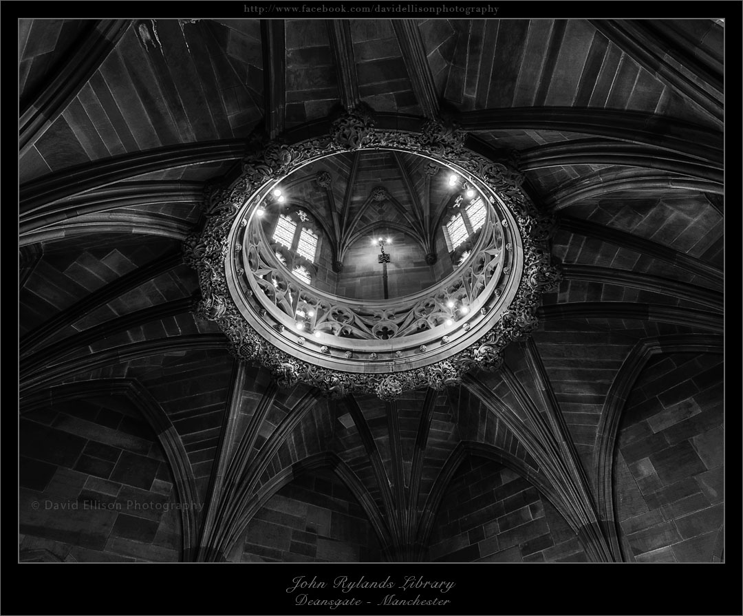 _rylands_roof-3_mono