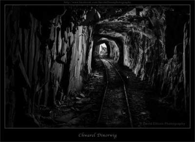 p-tunnel-flat-mono