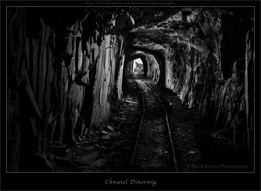 p-tunnel-flat-mono