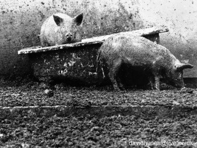 mud-bath-lcps