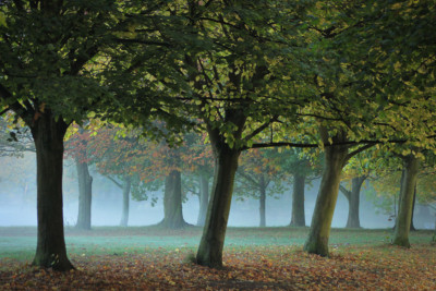 sefton-park-18x12-dscol-pop-up