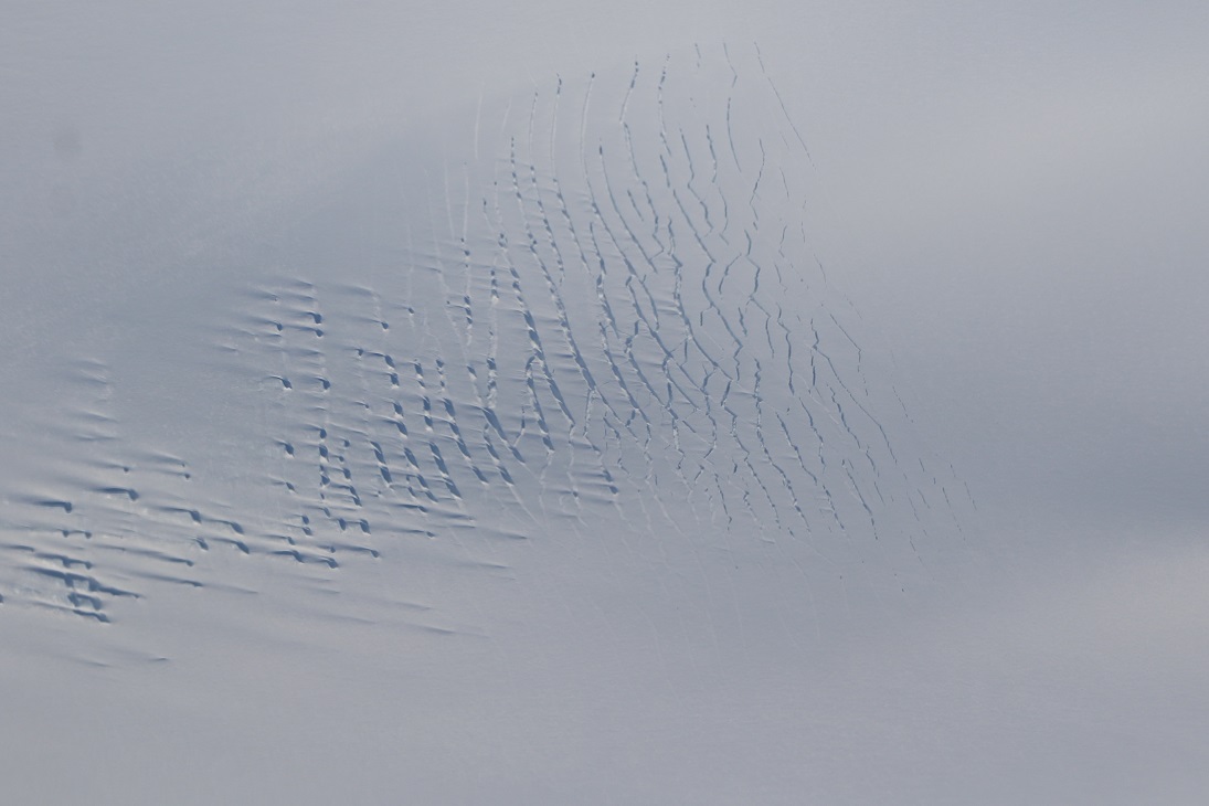 cracks-in-the-ice-sheet