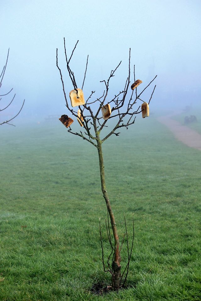 toasting-a-tree