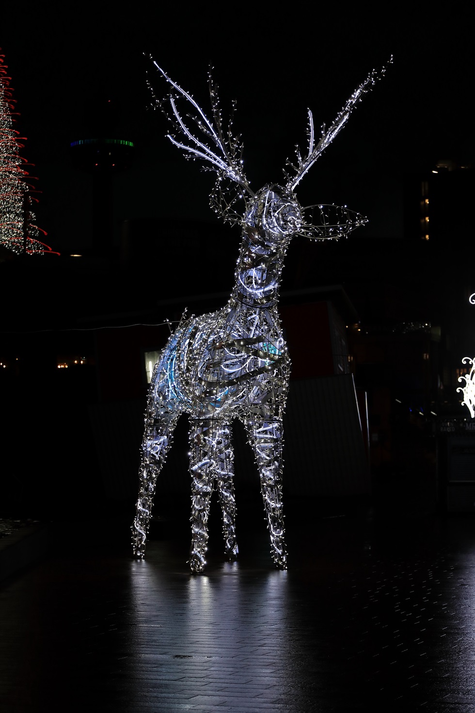 hj5a2443-2024_12_16-01_51_17-utc