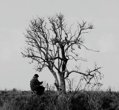 artistic-tree-burton-point-2010