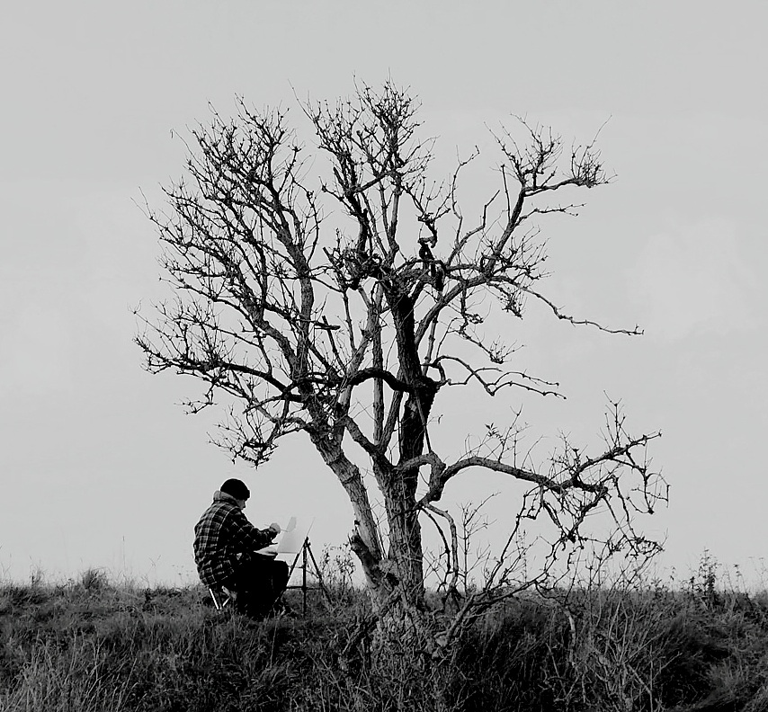 artistic-tree-burton-point-2010