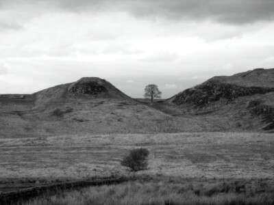 sycamore-gap-23-april-2018