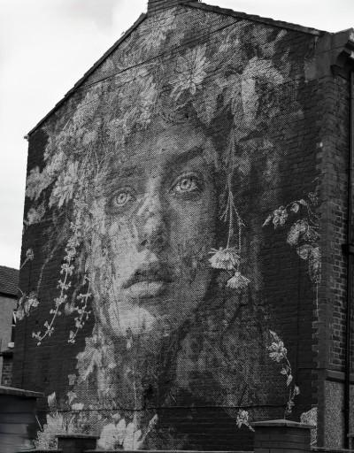 house-wall-mural