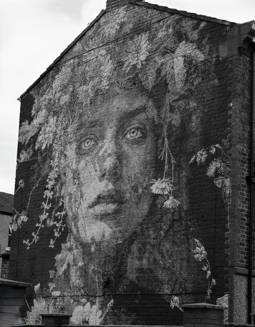house-wall-mural