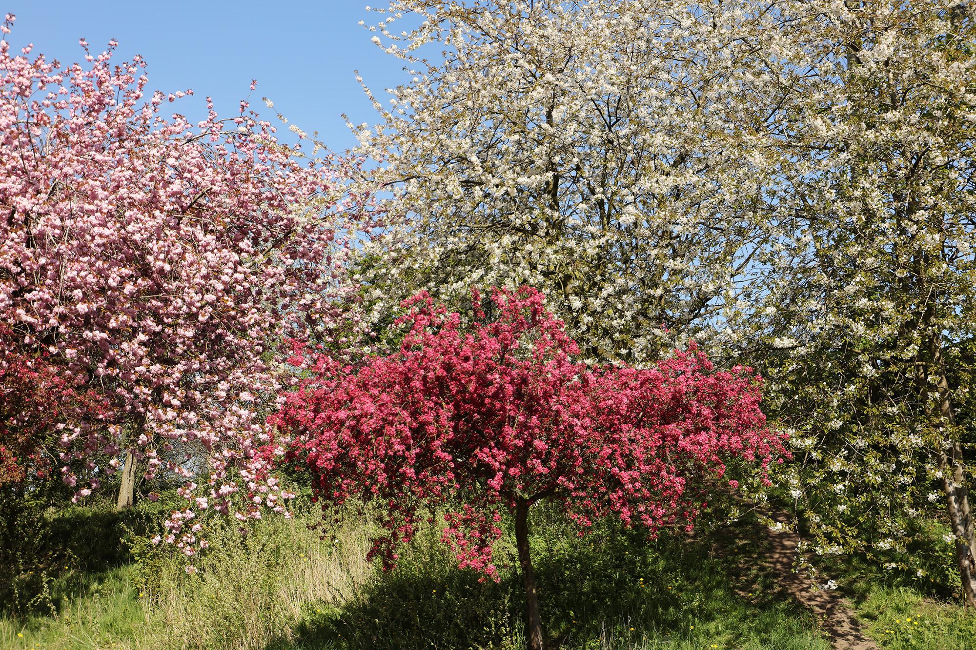 lcps-val-lovatt-0001