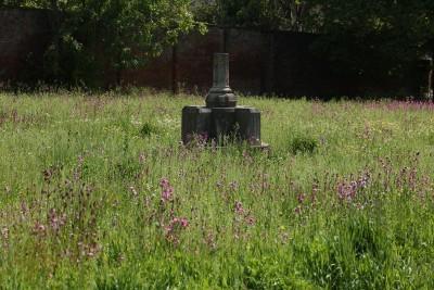lcps-val-lovatt-0003